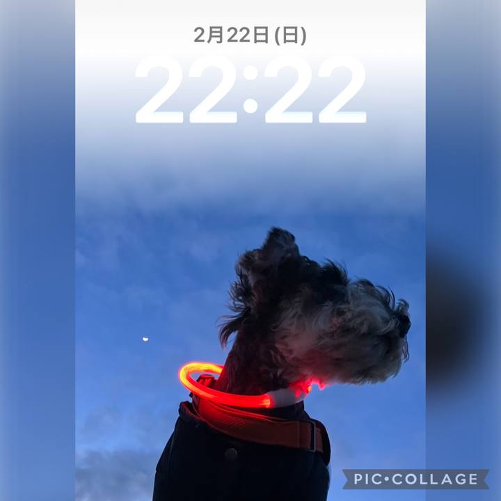 82967f5a 565a 476f bc05 5d8d79668961 1771766773123