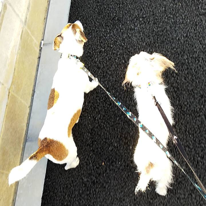 8296e585 20a5 4e76 afcd 9a06c2765b5e 1534976651464