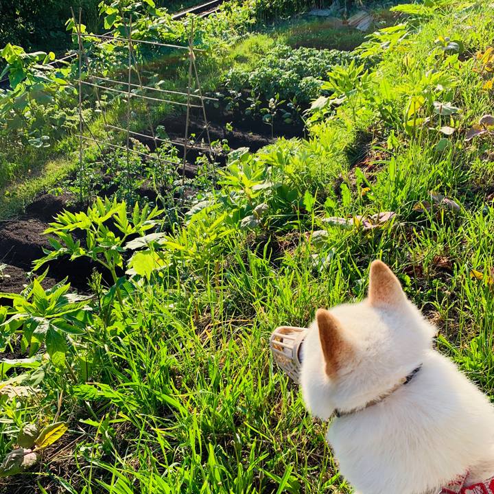 8296ff9a 6f13 487d a0fc 767af2d05fef 1560804936780