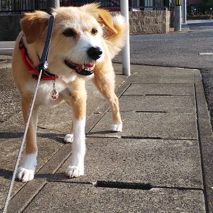 829729ae dc14 465f a9bb bc3f7b6ca500 1560462147140