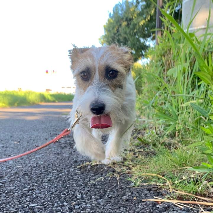 829744fb fd3f 4c9b 90ca a8d807e40b62 1628551406767