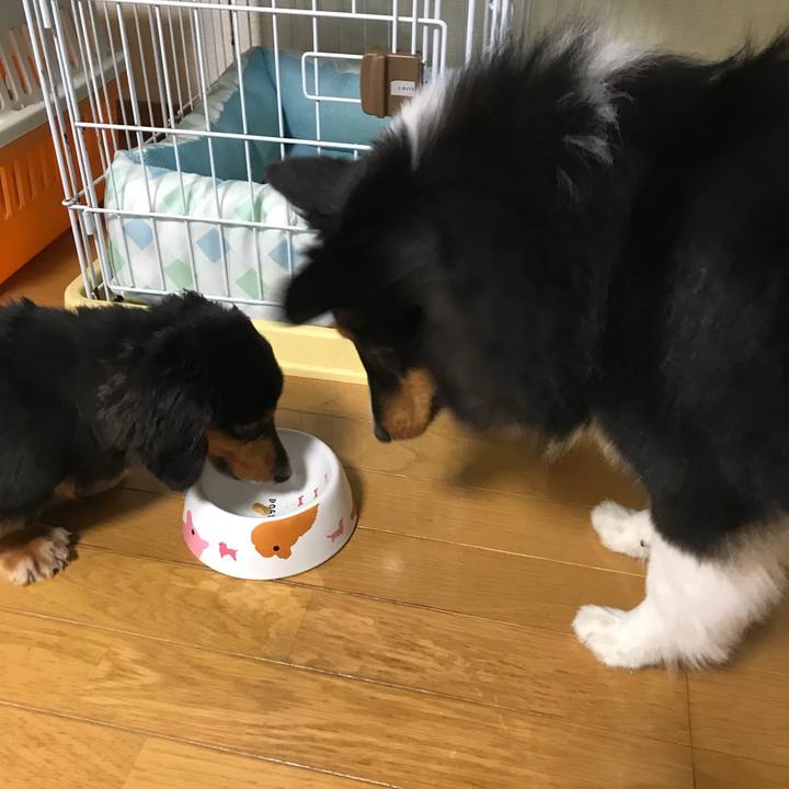 8297a12c bd20 4c0d bd14 03000ea1cbfa 1527716650265