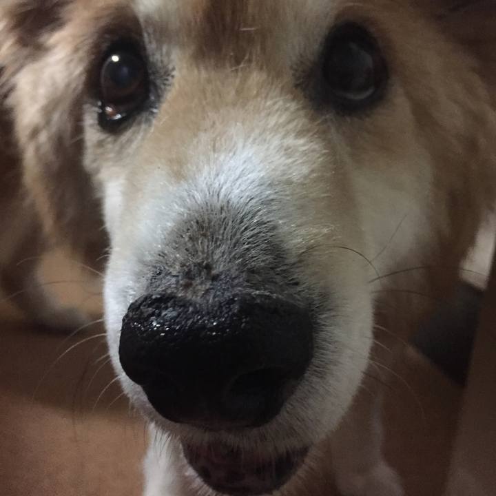 8297bfcc f9e4 4f8d 8852 acdd3fa1890e 1523450887878