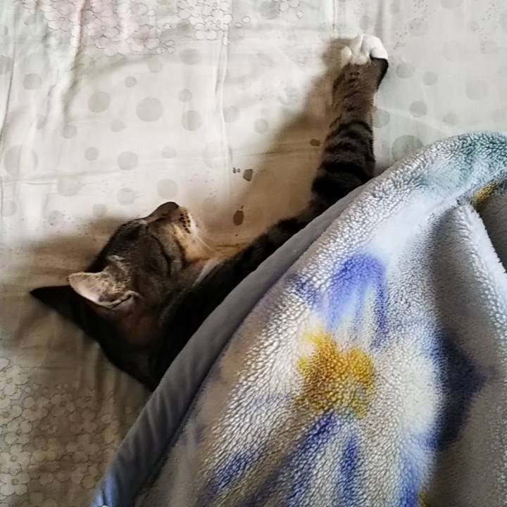 8297e617 234f 4e75 a65f 3c402339ac6c 1610118865866