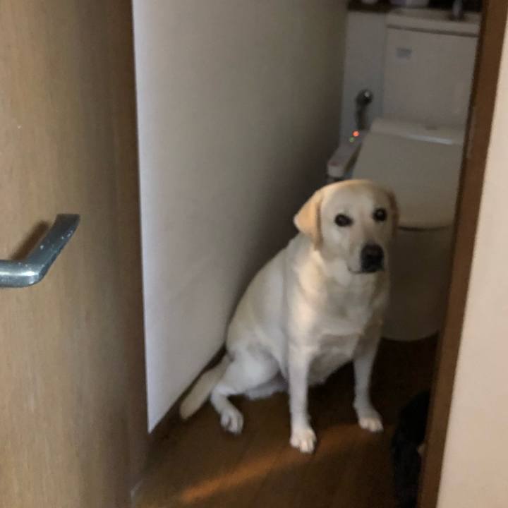 8297e9df 36dc 46b2 a9eb 1a297445f91f 1633131369799