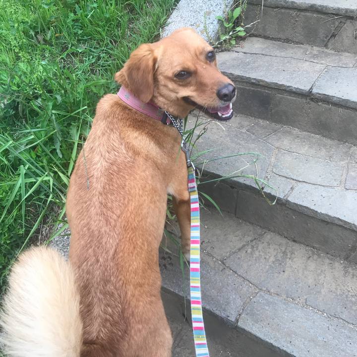 82982d35 1887 474f bac7 cbfd41213bee 1556691144273