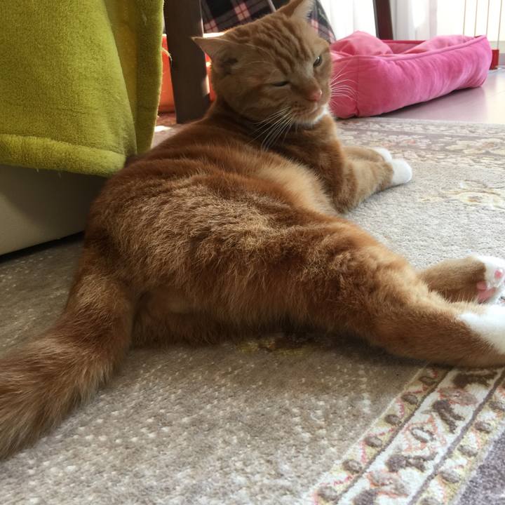 8298318e 8e2c 42d0 8c25 dec597831435 1546992934337