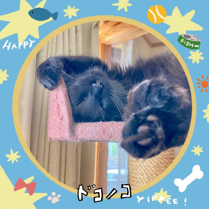 82985220 9b6c 4594 8bab f92c963471b5 1720845949034