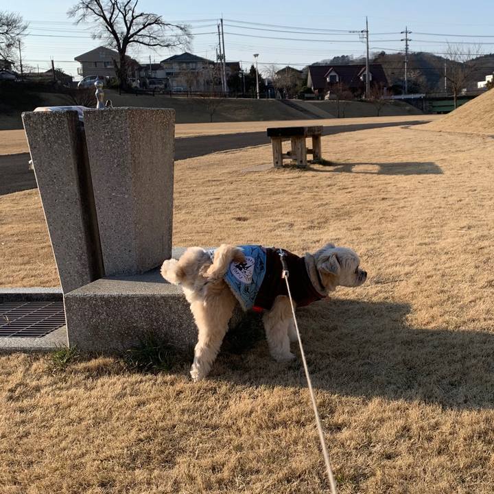 82985398 6a91 46e7 9b55 0306919697ad 1582280168952