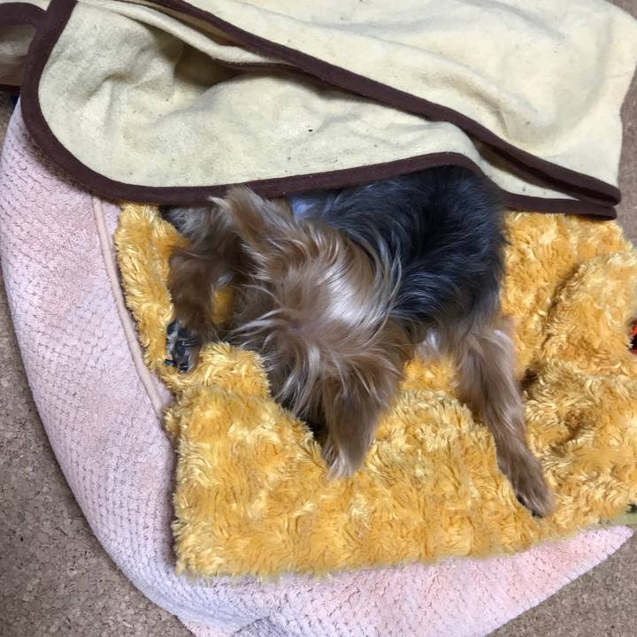 829853e4 e326 45be 8e9d e66086e990ef 1508389863630