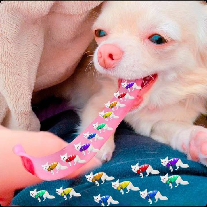 82985f70 4911 418e a0c5 16b6ddcd8edf 1614477550128