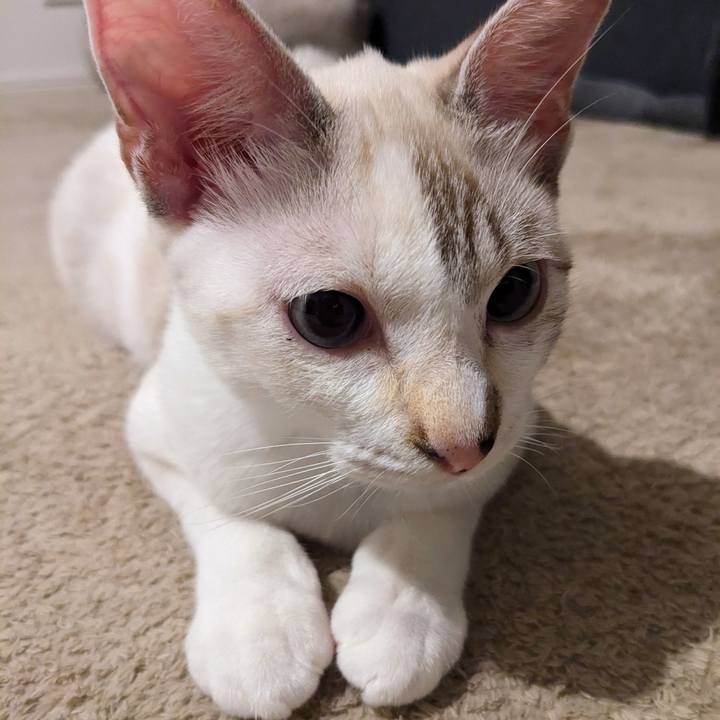 829871c7 e2ed 4b4a 8bc5 4b3ae3a236a5 1696160917021