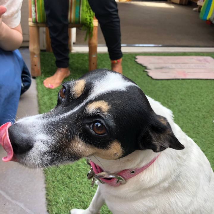 82988da9 a18c 4871 a086 b649ec84ac99 1549777602855