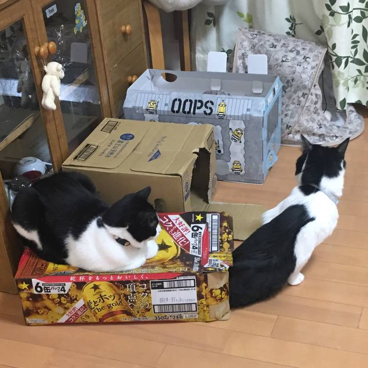 8298ad4b a57c 4b0a b921 11deda76152c 1514800188920