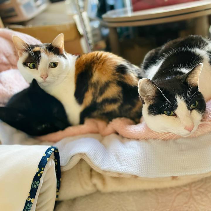 8298ad96 ccf1 407d a4b0 29fe4d632052 1644117901451