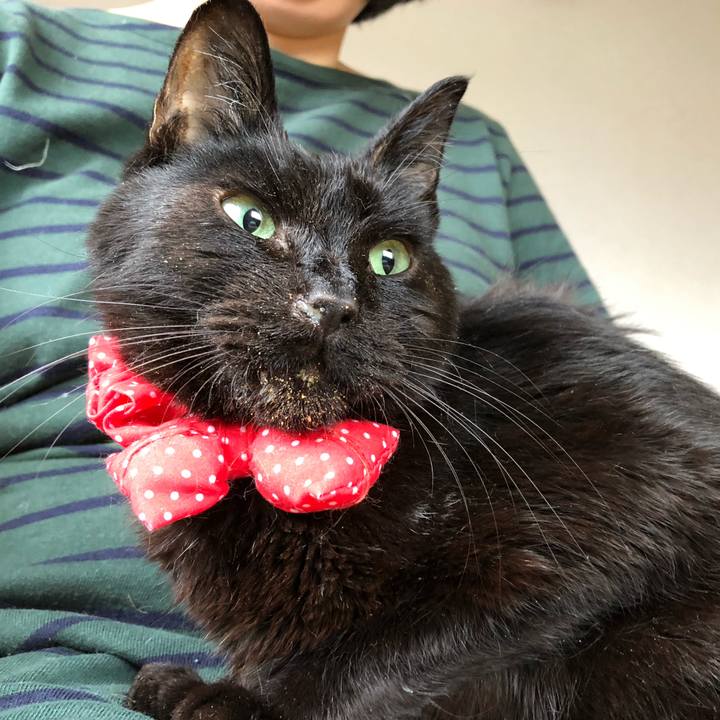 8298bb39 d482 4f99 a5ee ebcd42780462 1557178630466