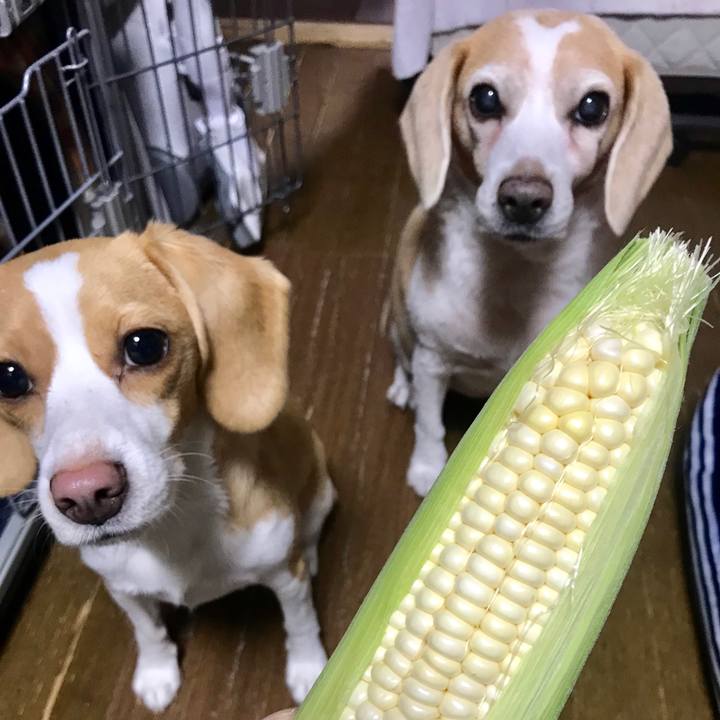 8298f472 c908 49a0 86a1 aa30d9c99699 1567684257339