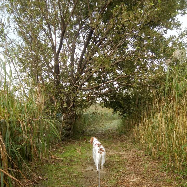 829905df 107f 4a73 a44d affb1d48632a 1539993562015