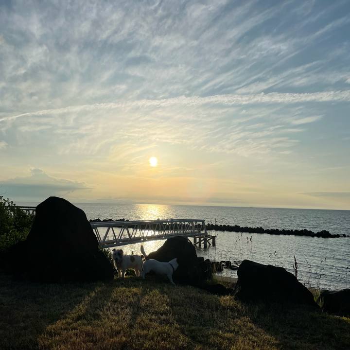 8299503c ee24 4eb2 9e03 f4250abdbcce 1657712037676