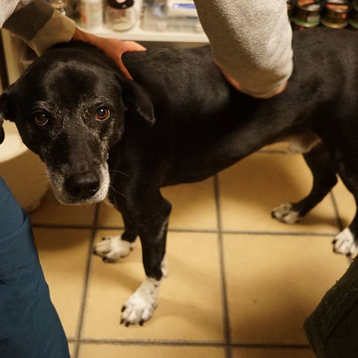 82995229 e3f8 4333 8430 85b914f80c81 1767449479398