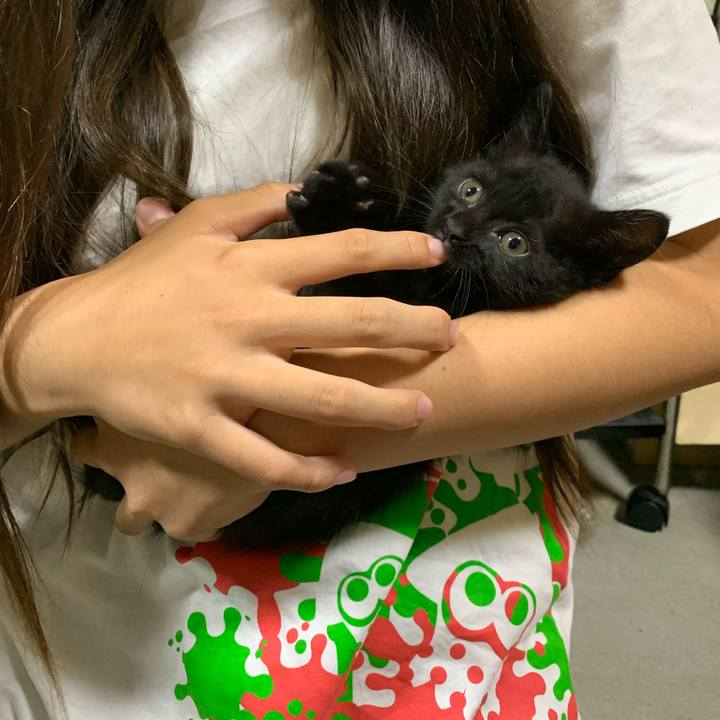 829988dc 8596 46be bc92 200fc4f766c3 1595109282528