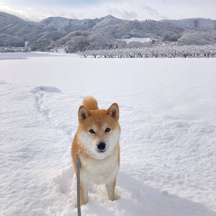 8299a932 8718 42d8 baf2 bf7ef9789070 1676958929115