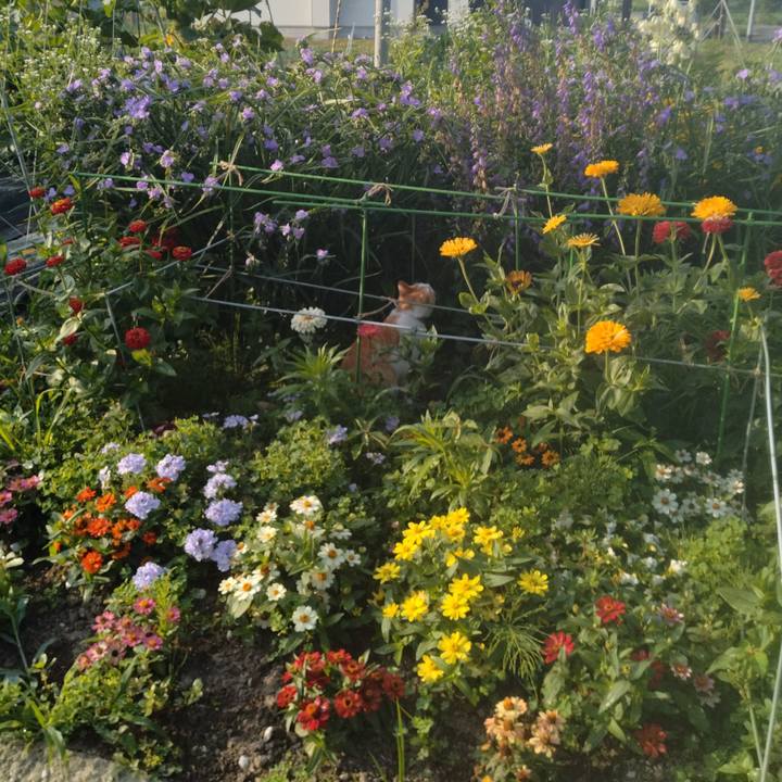 8299e81f 6dbb 452a 96f9 c16f1d76a960 1751409285472