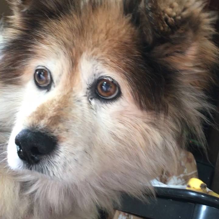 829a2d20 c194 4f25 9a1b 9a940ae3595f 1609916609982