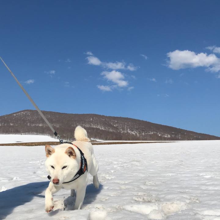 829a5e75 066c 4d96 8f63 616ee4fe48ae 1556583330201