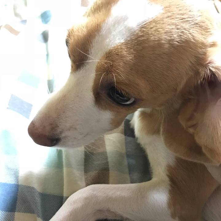 829a6acd 3f59 4b77 8552 77d22e3deb0a 1538183133790