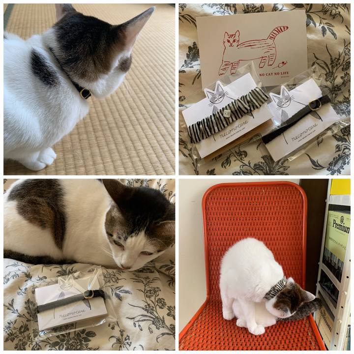 829a87ca b285 4d45 a251 b5bd15ce8e6b 1589257399931