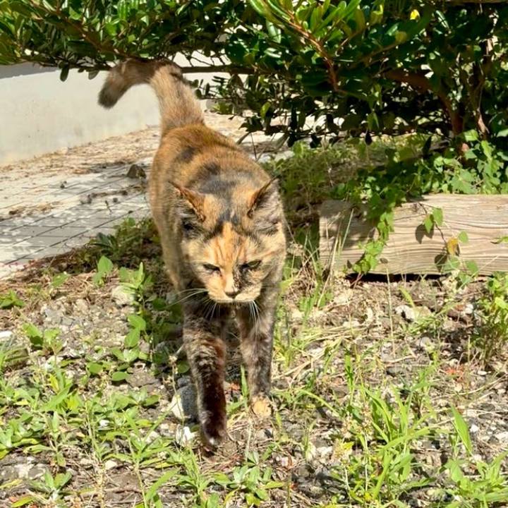 829ab122 a61c 4ddc ab54 8e77cd0732f4 1753320870187