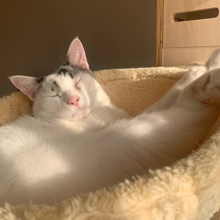 829ab41b 407d 49e2 bc94 3b5d58a9c239 1767517903316