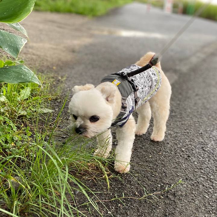 829abee0 2935 43c1 a602 7f5145af6a8a 1594334053317