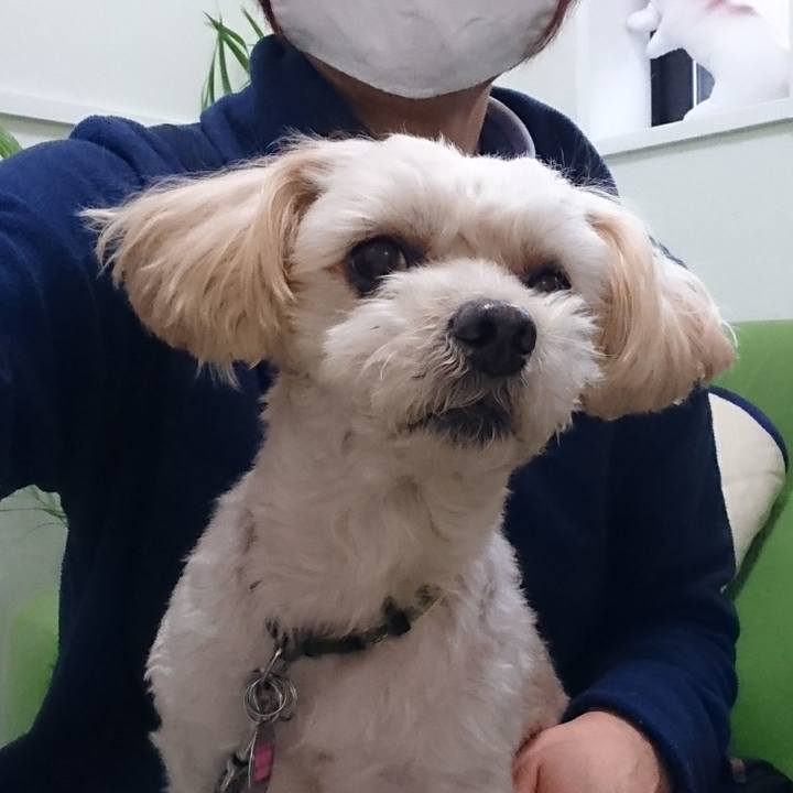 829ac689 b09c 4f11 84c9 29f95a5b3226 1608341459955