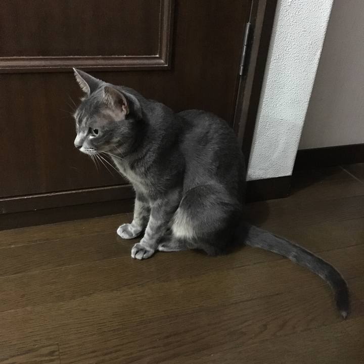 829acc2e 4f3a 4f37 abb5 cf3512f124f0 1567088608069