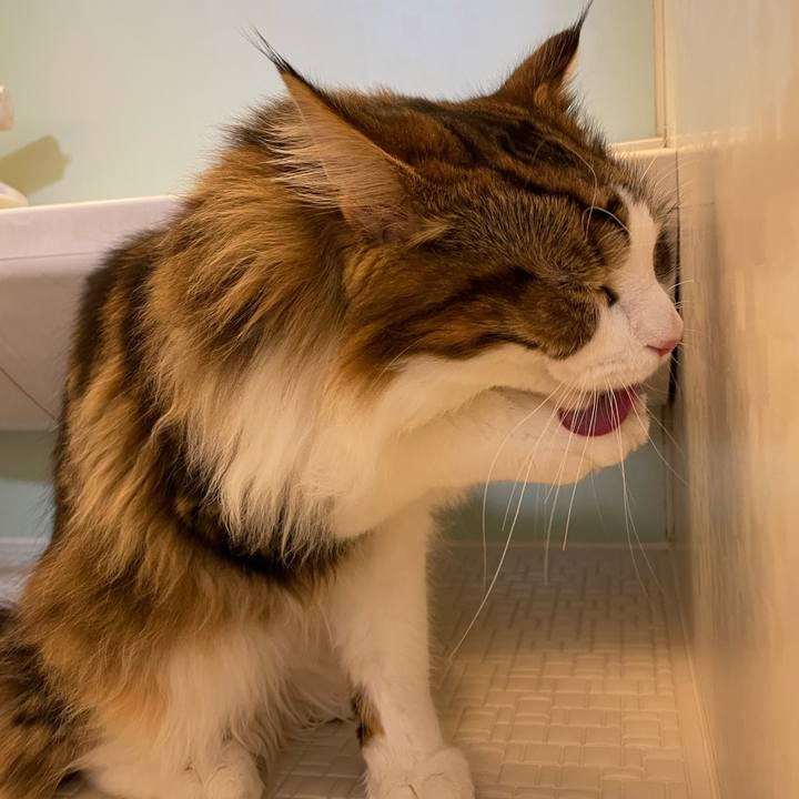 829acdaf 5117 42cf 873e 4a6076fa5c61 1645824643096