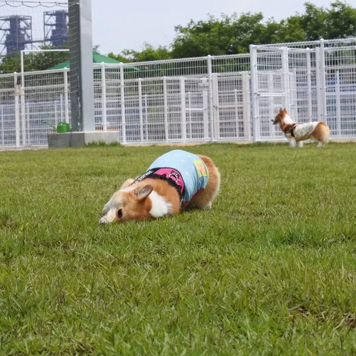 829ad180 f9e1 44d4 b59d b8e2903fc17d 1595751654439