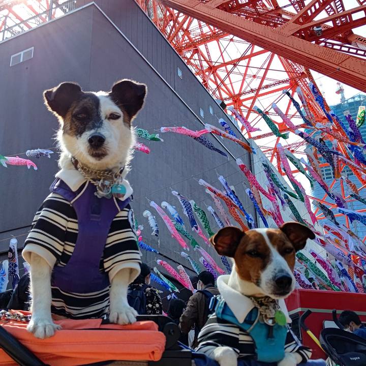 829ae577 975d 4d3a 9923 724e9f36ccc7 1651307382284