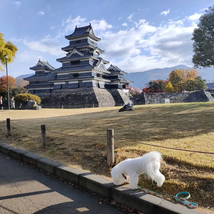 829aed45 8957 4742 b3a3 11d578837bf0 1762862422229