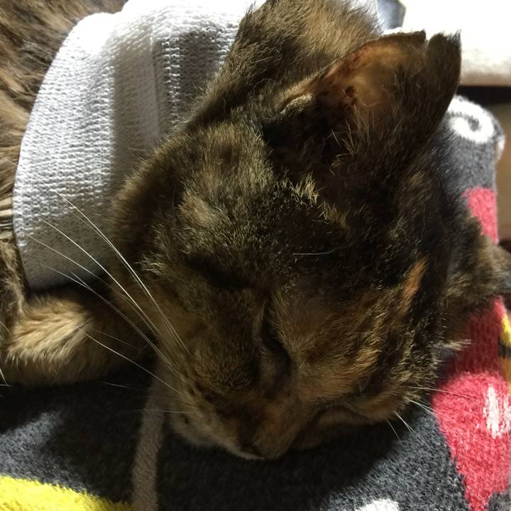 829b3700 0cd9 45c0 b21d 3d50cbeb9755 1659135628053