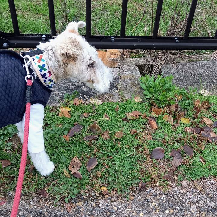 829b6e91 1e3a 40ca a18f 31650b925db9 1604635898020