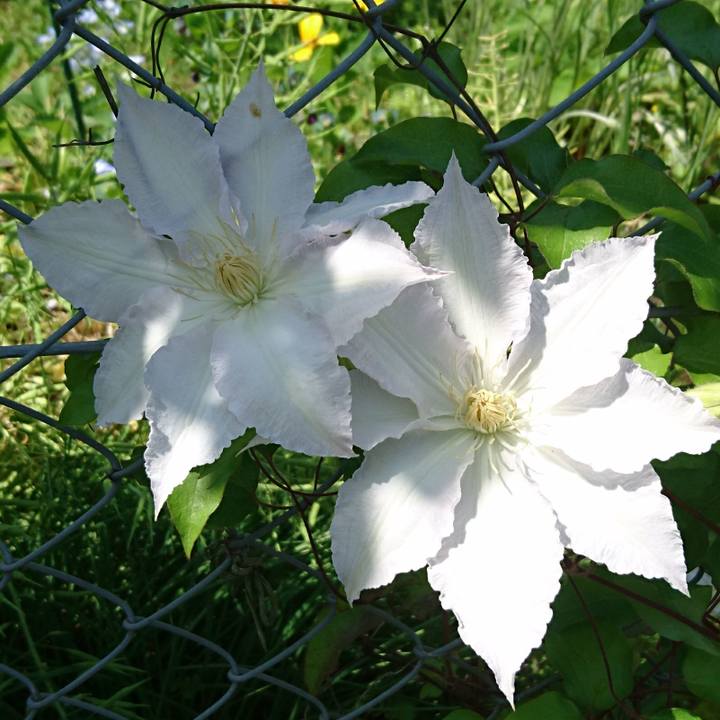 829bb6ad f851 4d99 8aeb b8289ce9f466 1524365260837