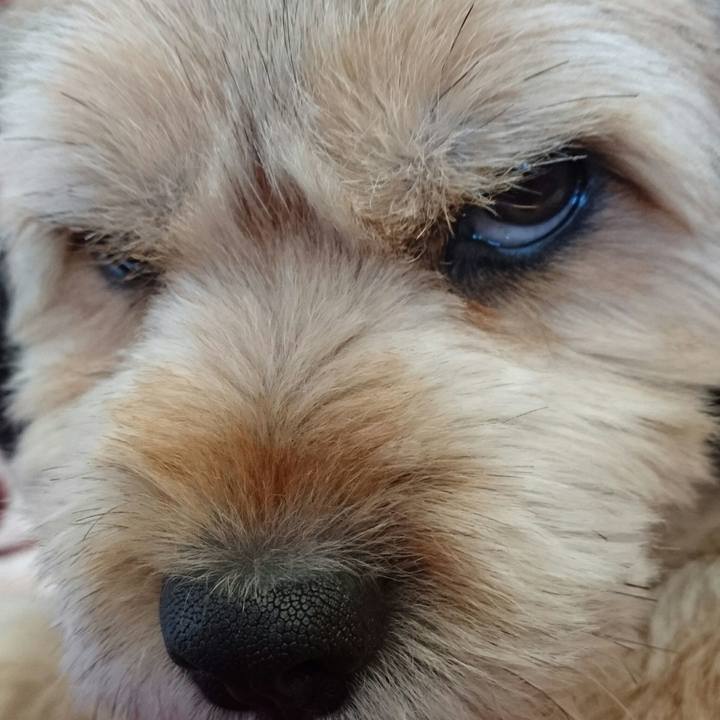 829bcebd f22d 40a8 b4f1 602037009598 1512186187547