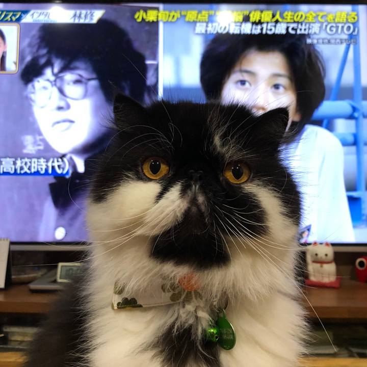 829befc3 3b7b 445b 9519 071f58f4a8eb 1633345751772