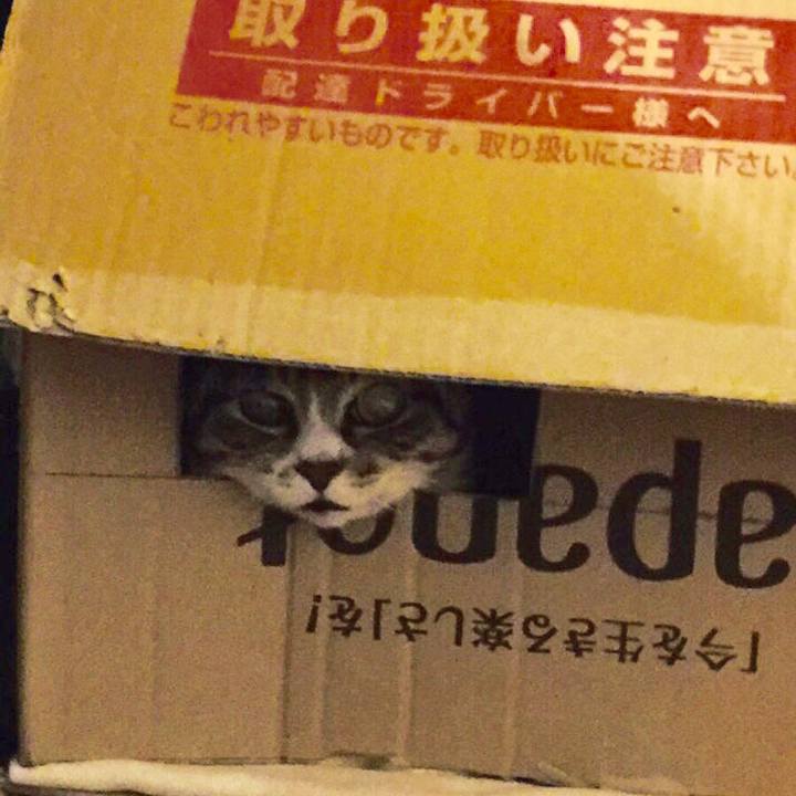 829c23d9 c942 4a5c 9745 36b44b7b830f 1547273784808