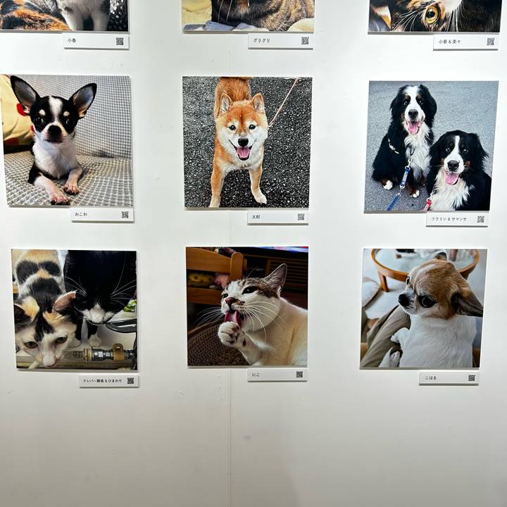 829c68ac 150c 44f3 8d2f 0aa4cdc105aa 1762060459518