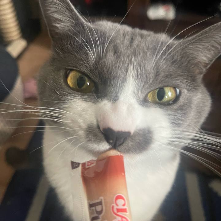 829c83b7 58ae 4369 8e86 f8c099ed3590 1672728004909