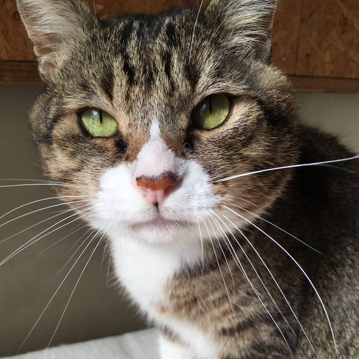 829c8689 46a7 4502 a1f6 82f52d104afd 1544068078559