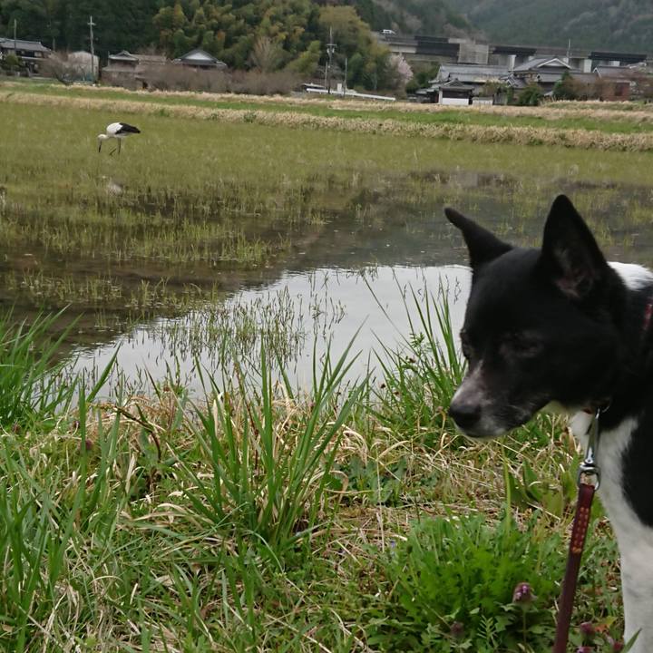 829cb60b 4422 4b32 9fb7 2688ea72d2f7 1617493161726